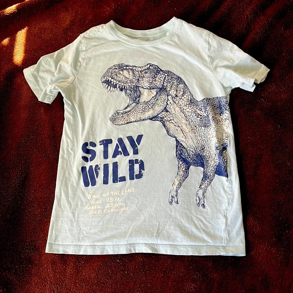 Boys tee shirt 🦖